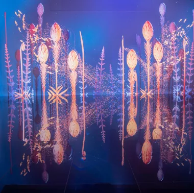 shadow plants purple pink