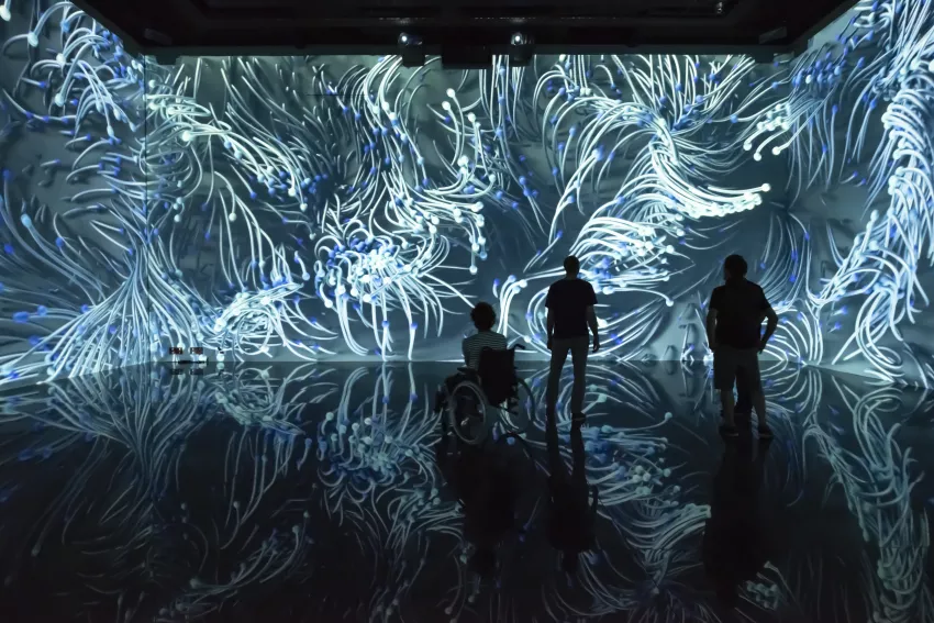 © Culturespaces / Anaka Photographie Vue exposition Ocean Data Bassins