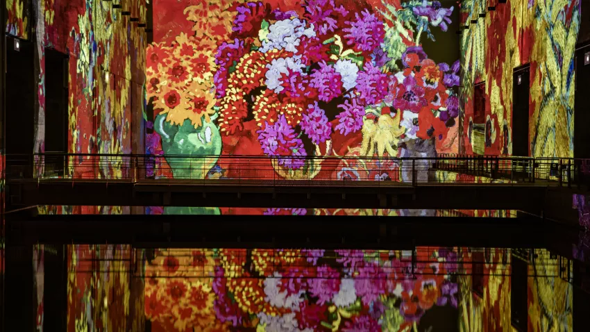 © Culturespaces / Eric Spiller Vue exposition Dufy Bassins des Lumières