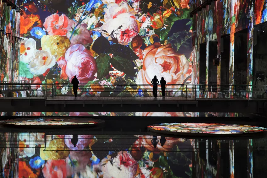 © Culturespaces / Vincent Pinson espace exposition De Vermeer à Van Gogh Bassins