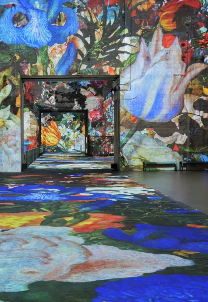 © Culturespaces / Vincent Pinson Espace exposition De Vermeer à Van Gogh Bassins