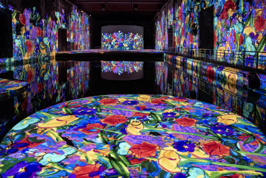 © Culturespaces / Eric Spiller Vue exposition Monet Renoir Chagall Bassins