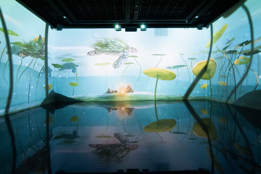 © Culturespaces / Vincent Pinson Vue exposition l'Autre Jardin Bassins