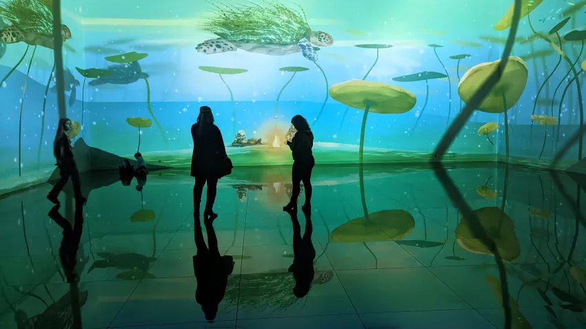 © Niels Prayer Vue exposition visiteurs l'Autre Jardin Bassins